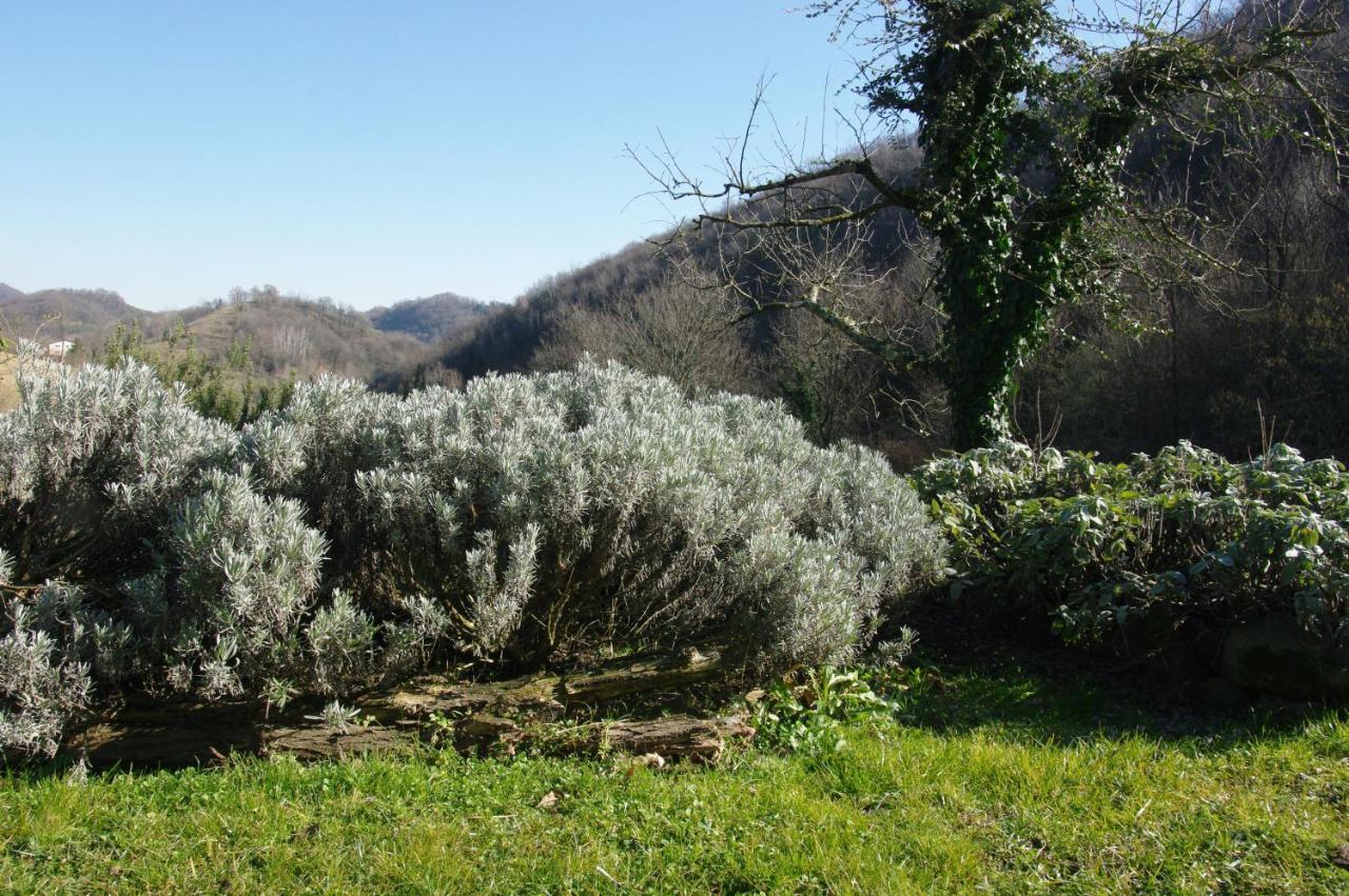 Agriturismo Corte Del Maso Bassano del Grappa Extérieur photo